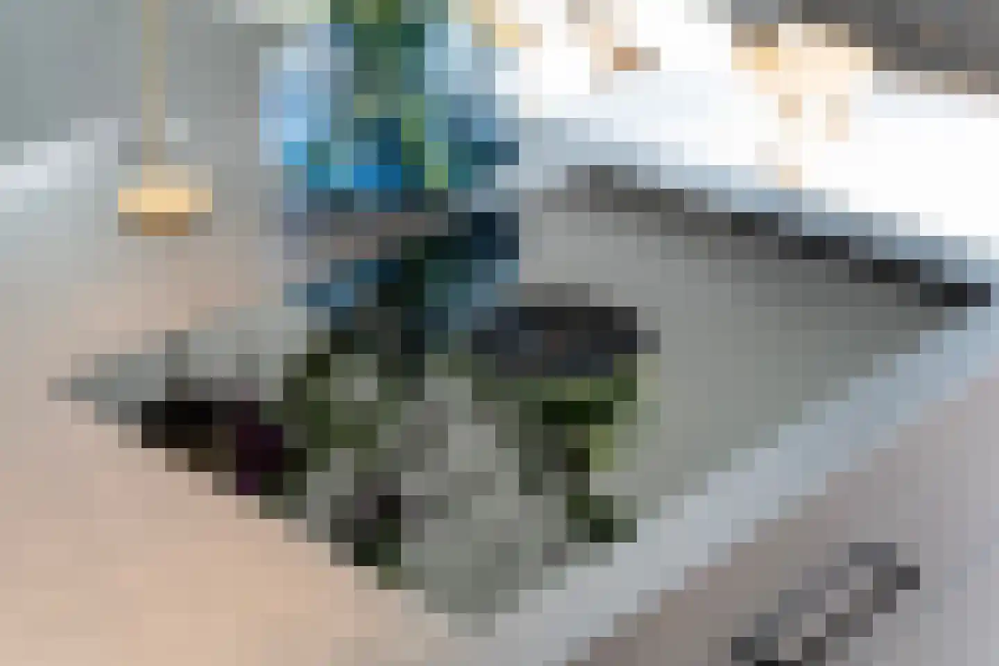 Meer van Eysinga 28 Sint Nicolaasga thumbnail 24