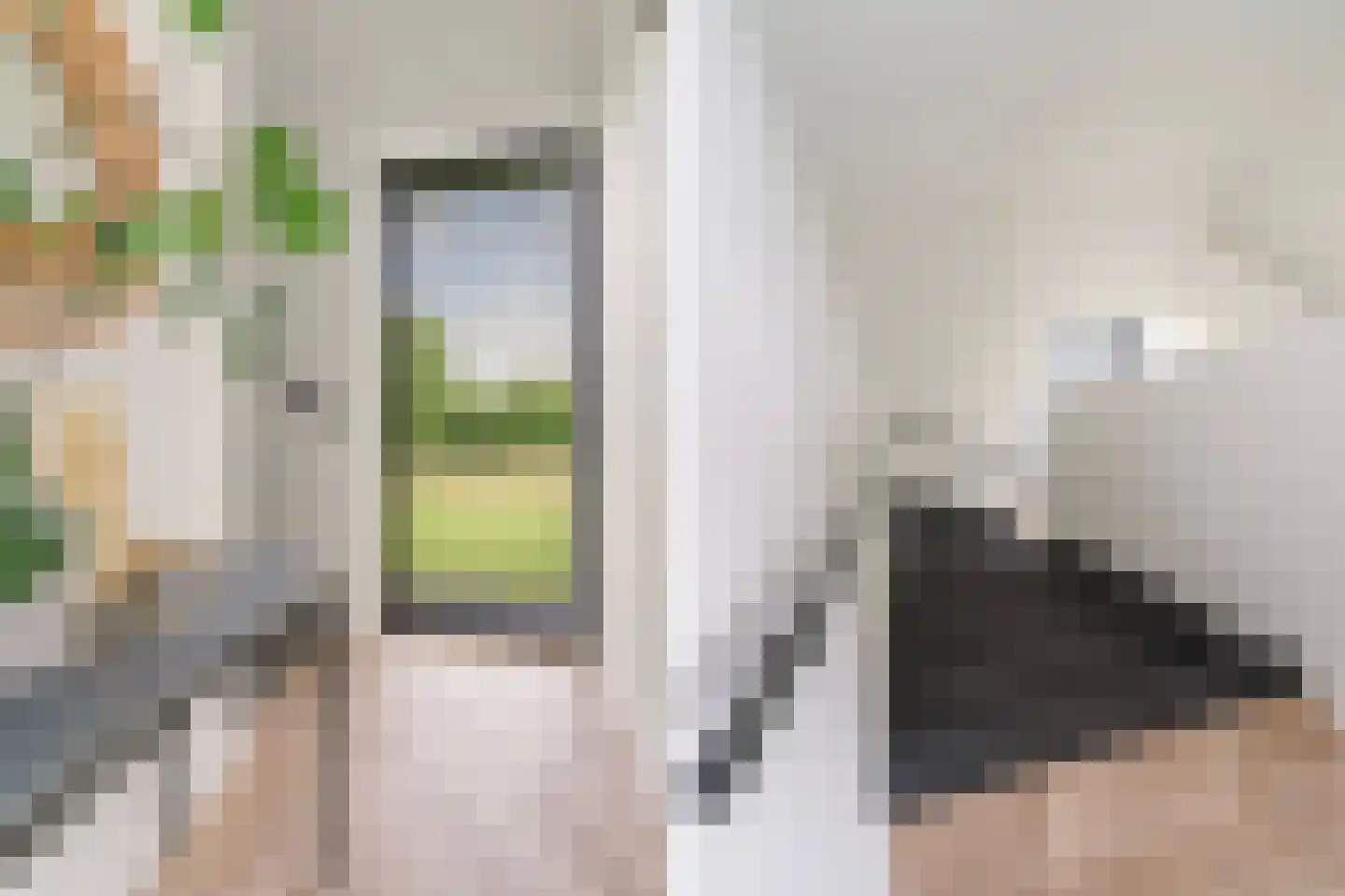 Meer van Eysinga 28 Sint Nicolaasga thumbnail 32