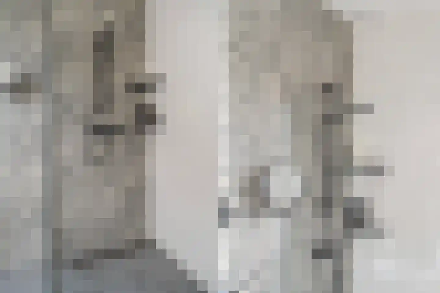 Meer van Eysinga 28 Sint Nicolaasga thumbnail 40