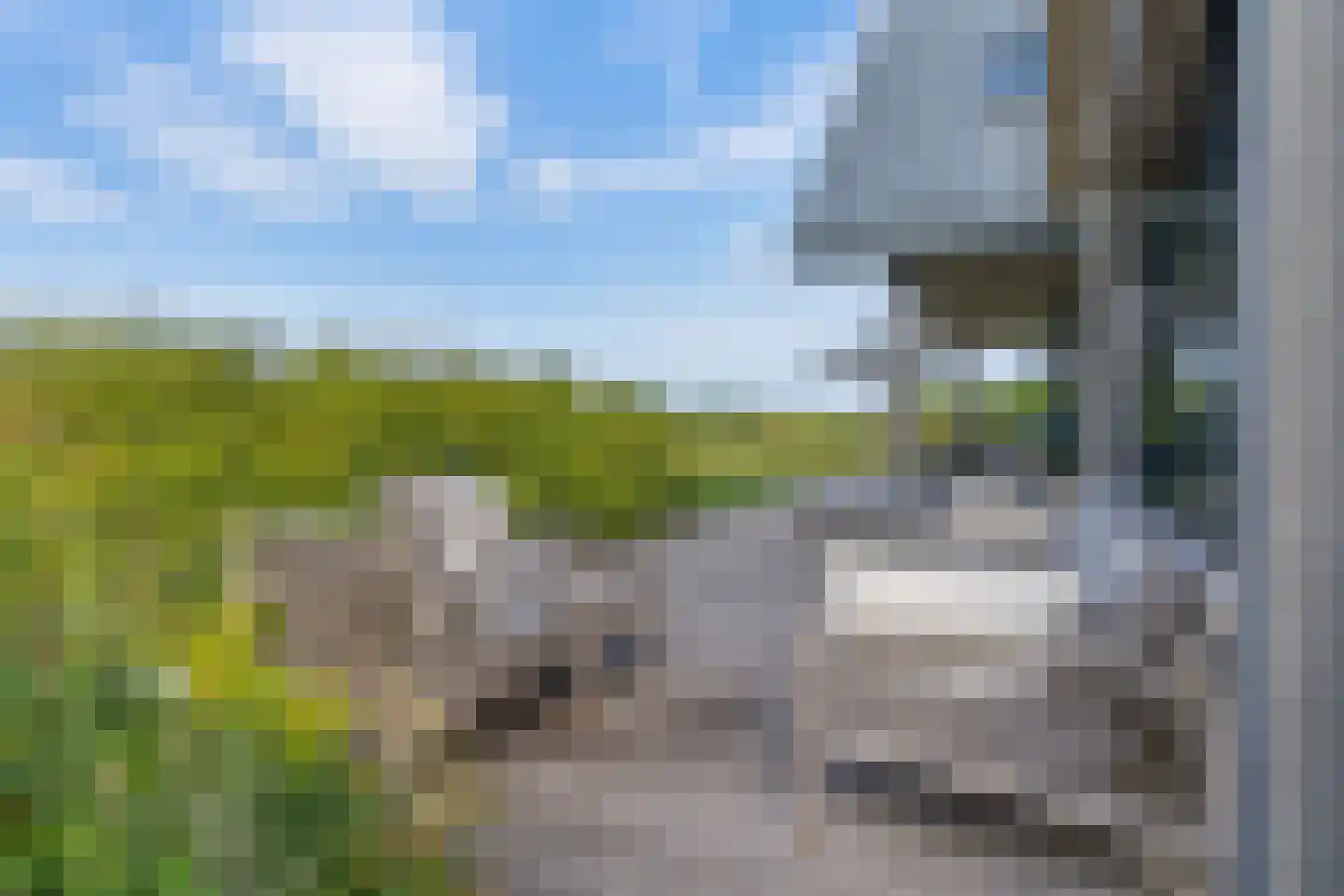 Meer van Eysinga 28 Sint Nicolaasga thumbnail 51