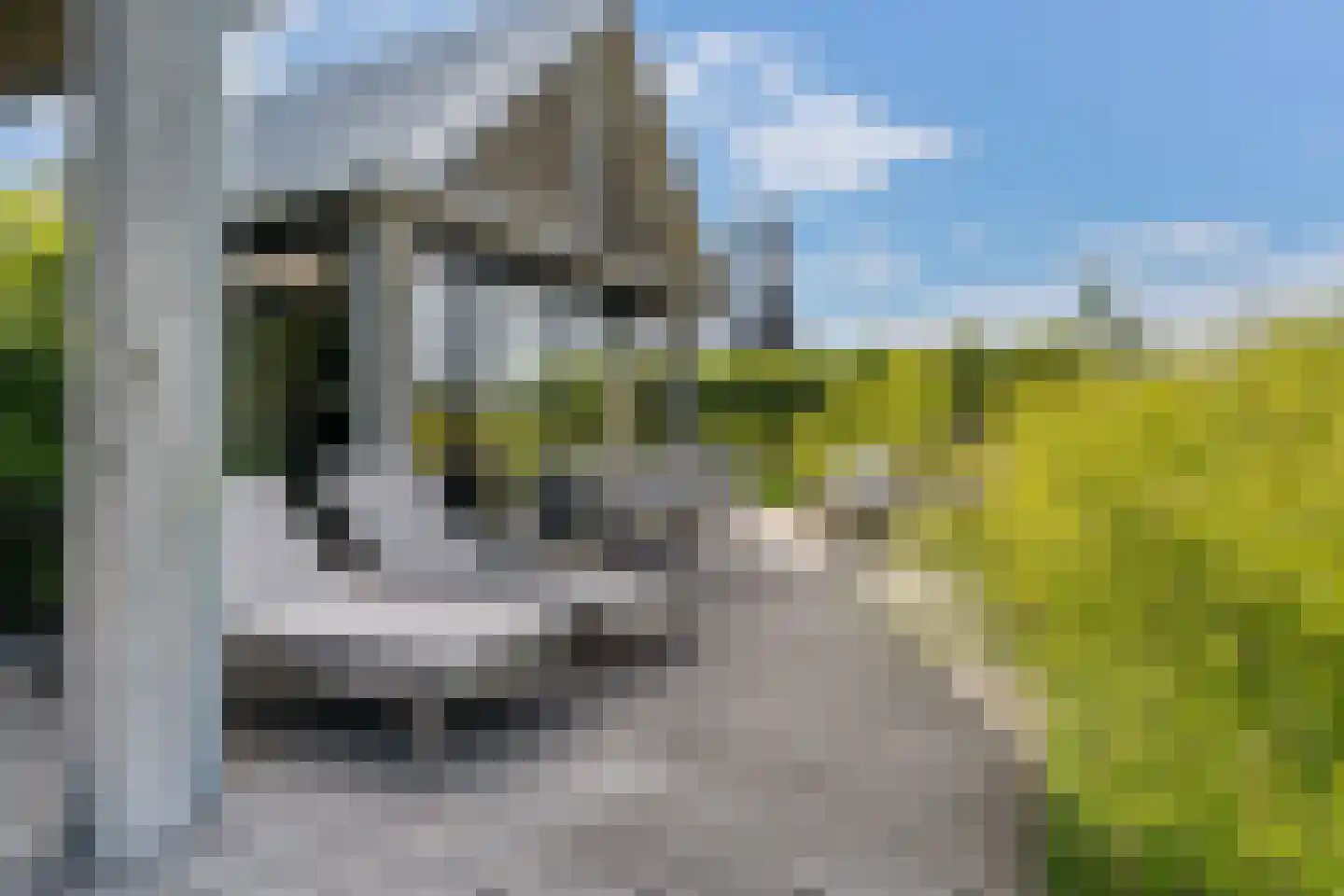 Meer van Eysinga 28 Sint Nicolaasga thumbnail 52