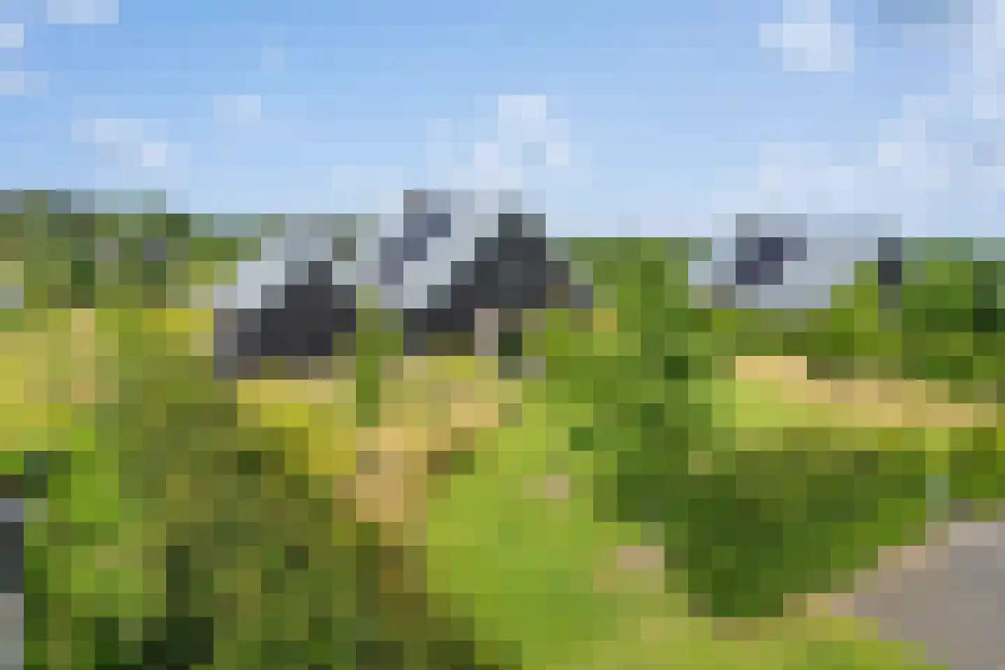 Meer van Eysinga 28 Sint Nicolaasga thumbnail 74