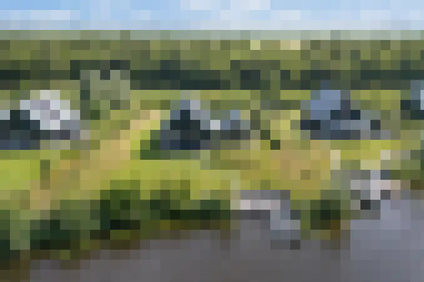Meer van Eysinga 28 Sint Nicolaasga thumbnail 92