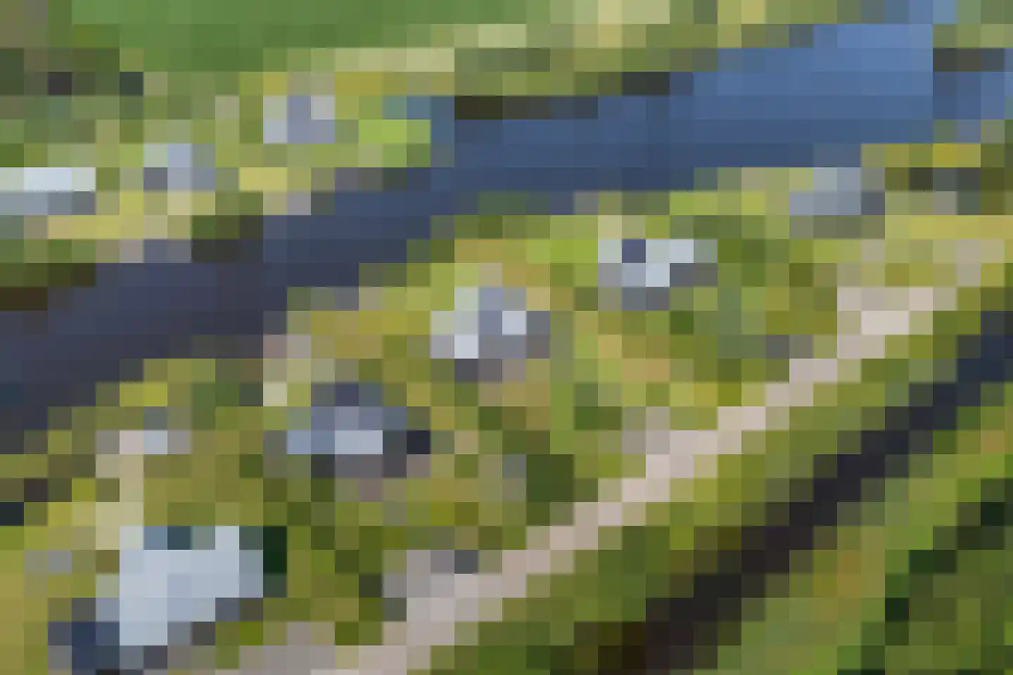 Meer van Eysinga 28 Sint Nicolaasga thumbnail 97