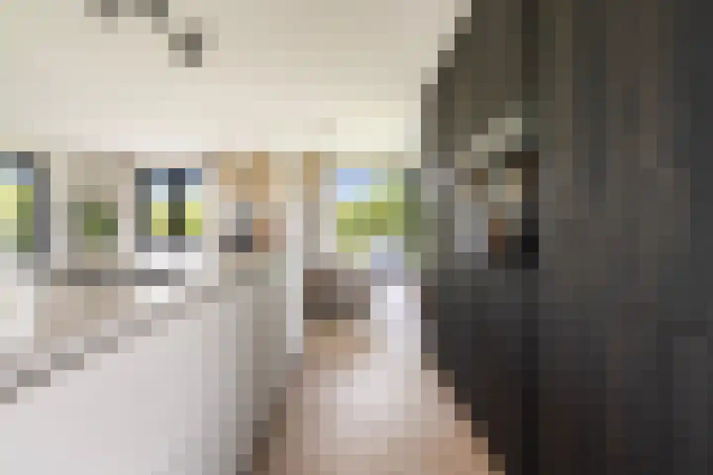 Meer van Eysinga 9 Sint Nicolaasga thumbnail 10