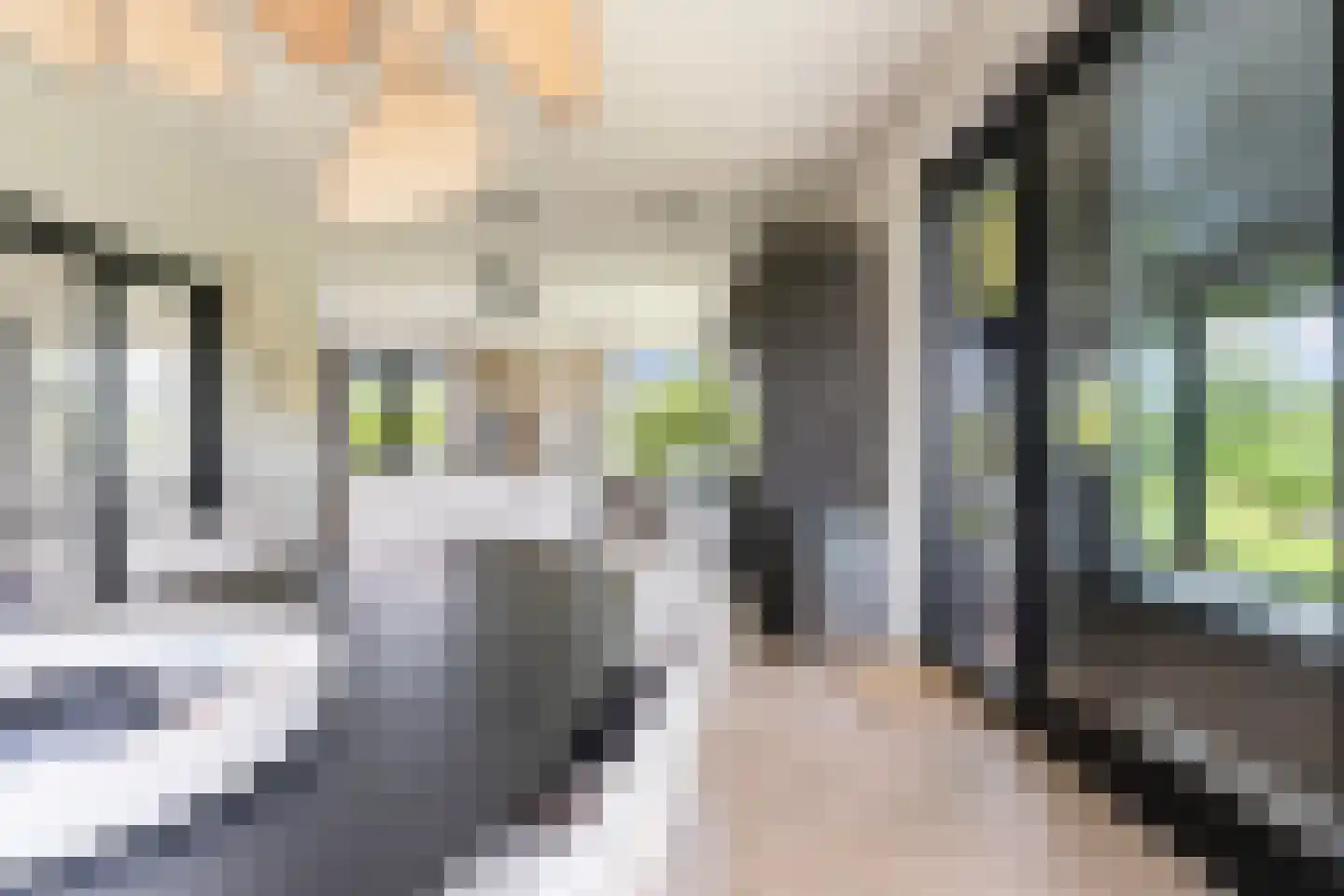 Meer van Eysinga 9 Sint Nicolaasga thumbnail 12