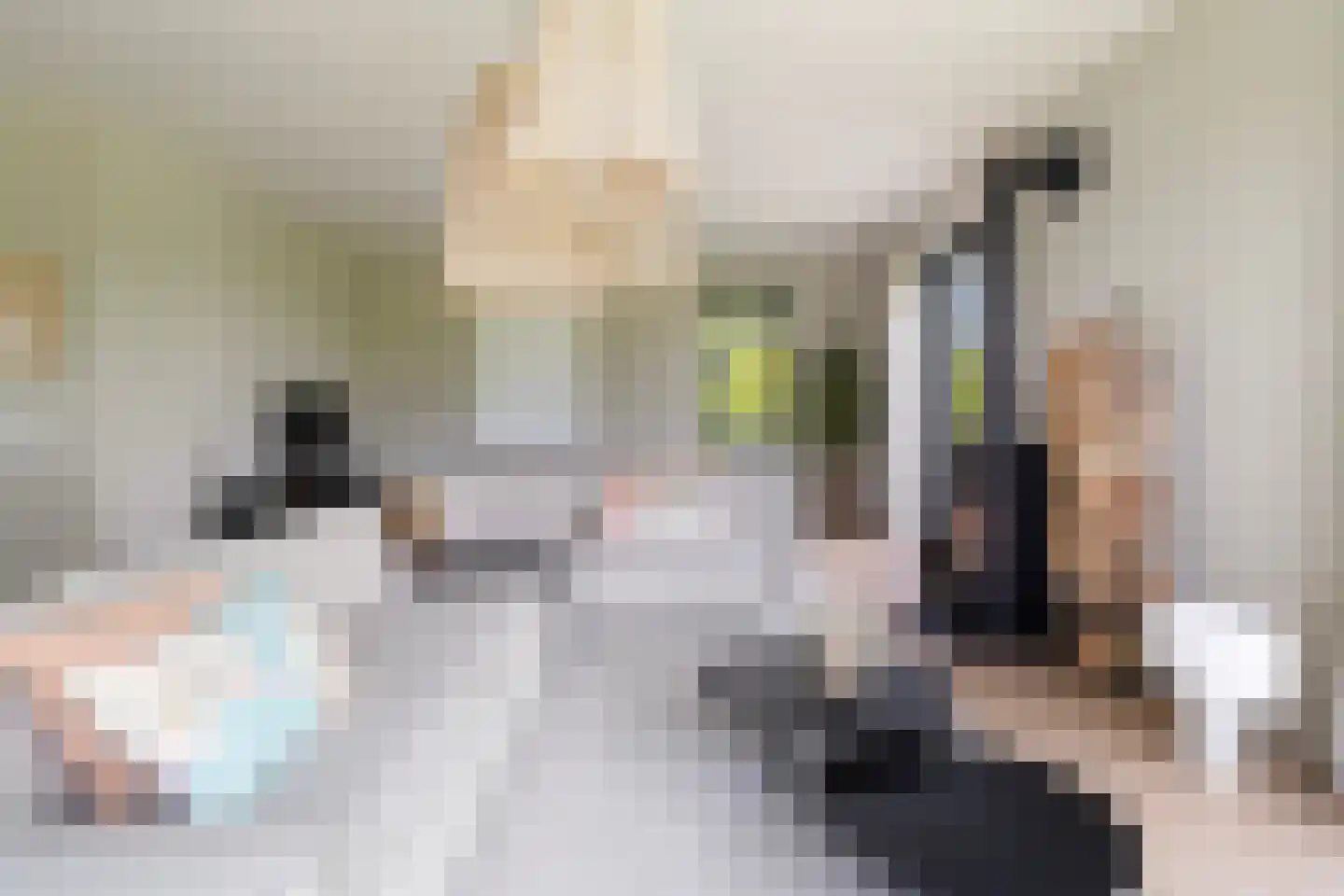 Meer van Eysinga 9 Sint Nicolaasga thumbnail 13