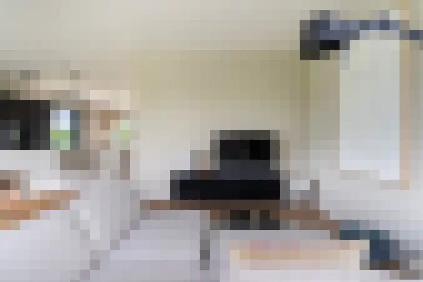 Meer van Eysinga 9 Sint Nicolaasga thumbnail 17