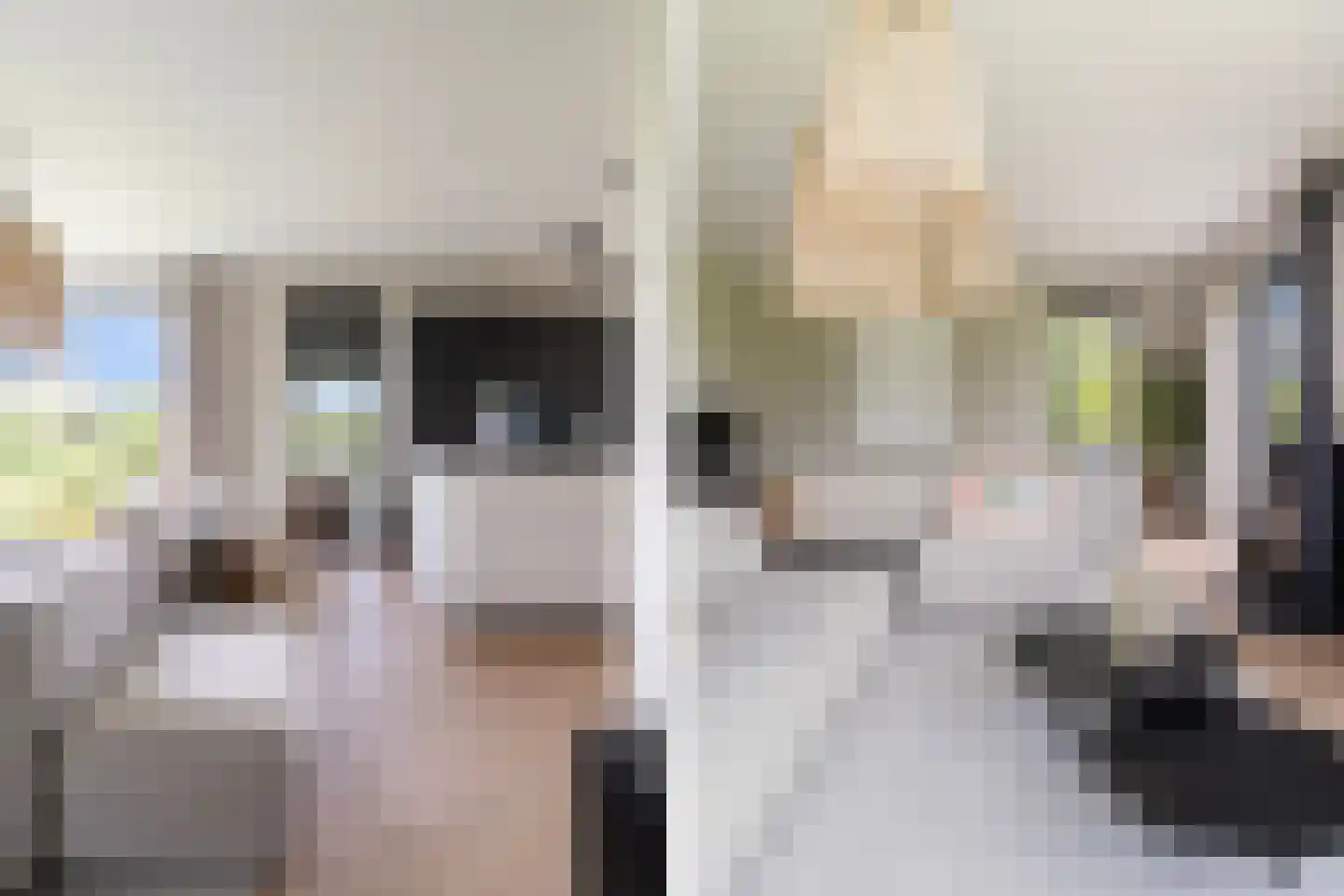 Meer van Eysinga 9 Sint Nicolaasga thumbnail 22