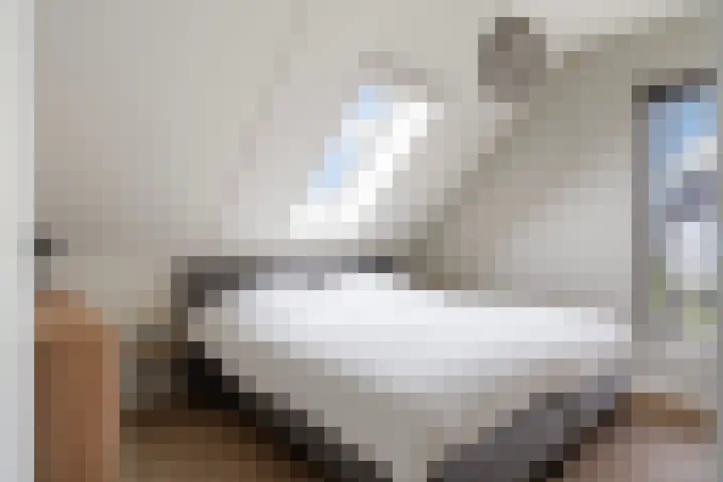Meer van Eysinga 9 Sint Nicolaasga thumbnail 31