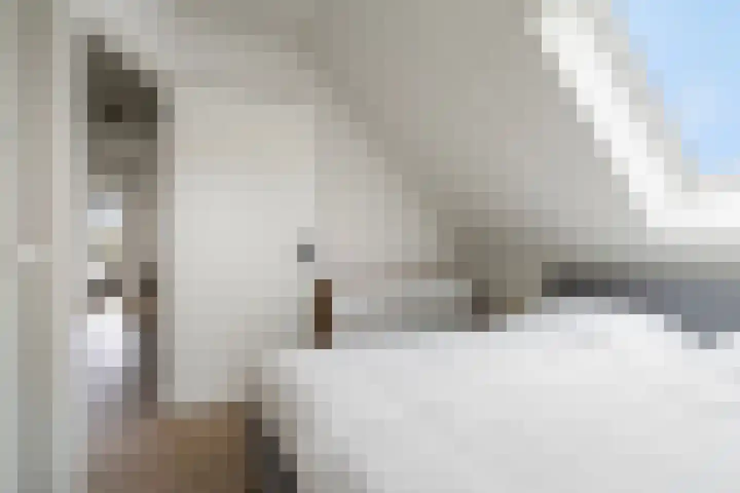 Meer van Eysinga 9 Sint Nicolaasga thumbnail 32