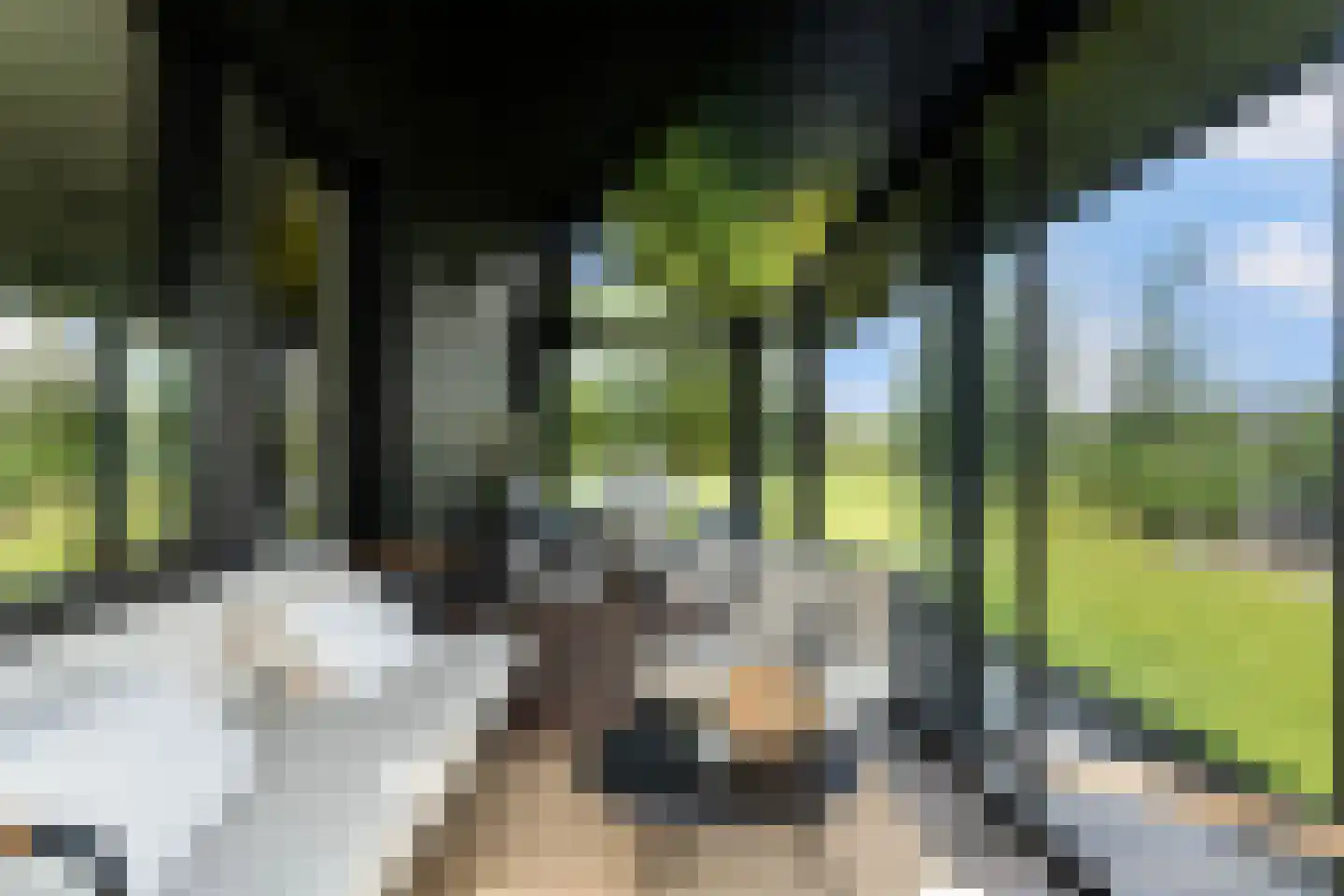 Meer van Eysinga 9 Sint Nicolaasga thumbnail 52