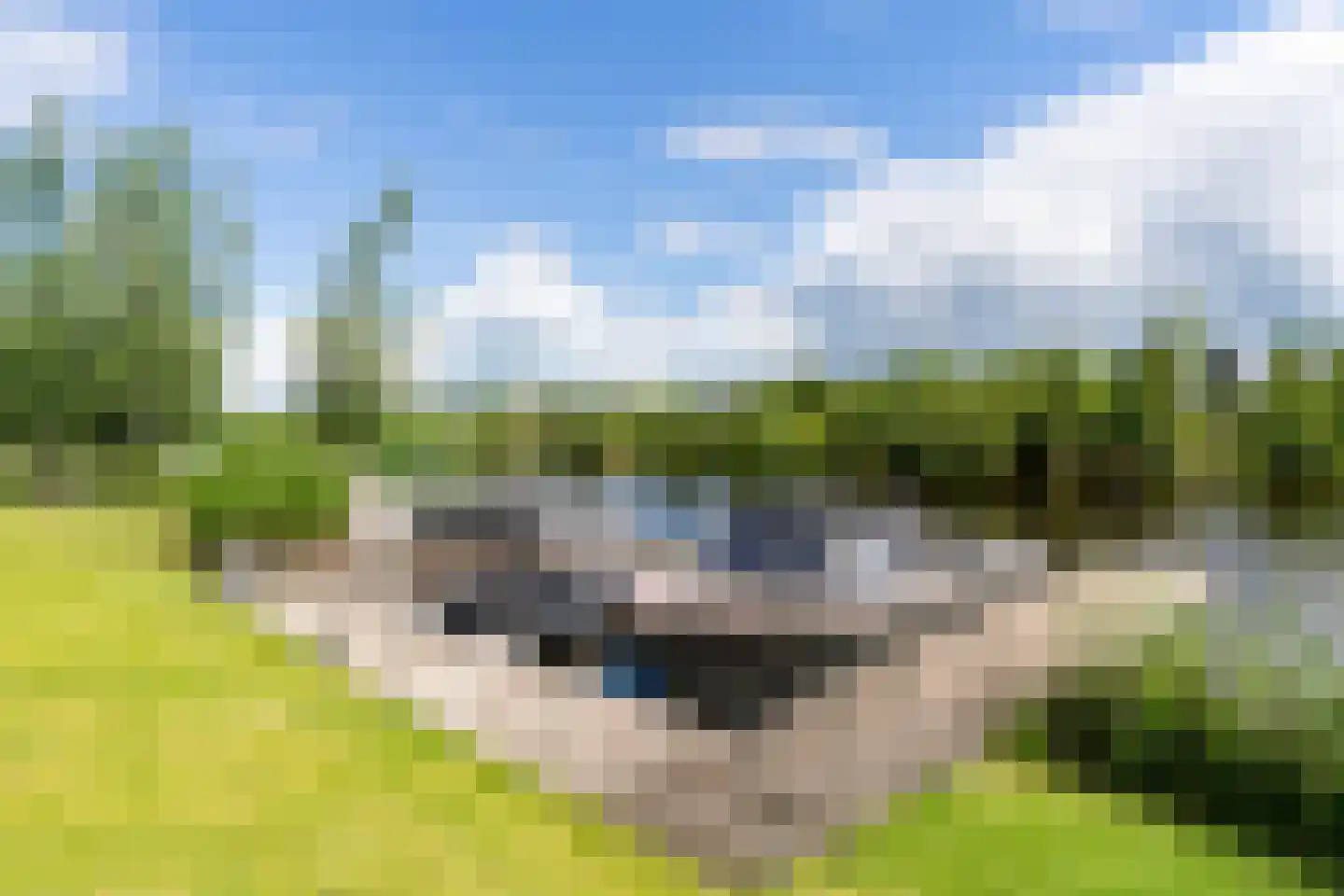 Meer van Eysinga 9 Sint Nicolaasga thumbnail 65