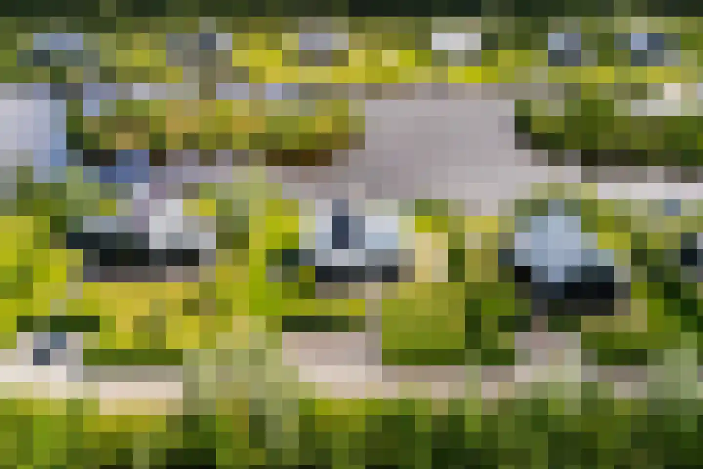 Meer van Eysinga 9 Sint Nicolaasga thumbnail 71
