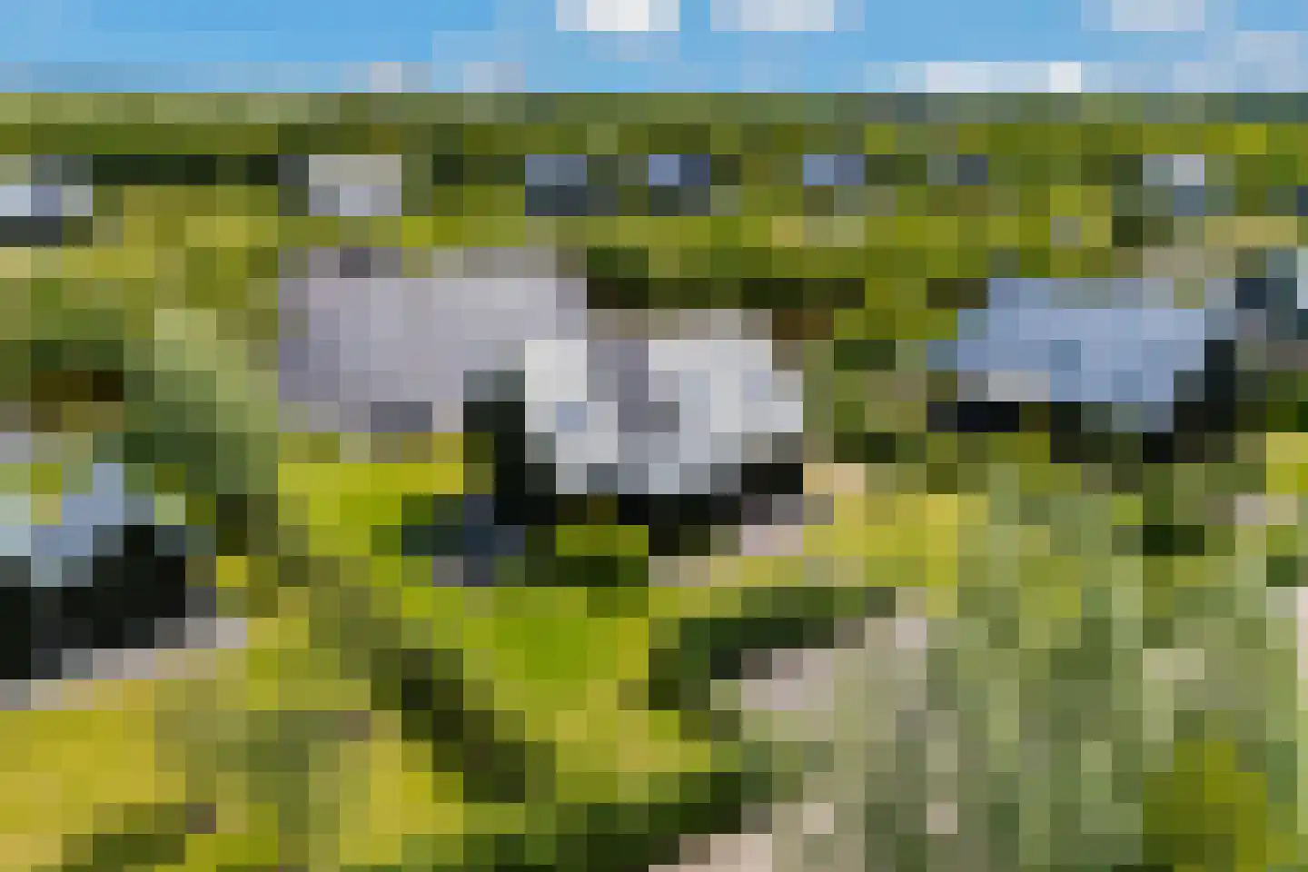 Meer van Eysinga 9 Sint Nicolaasga thumbnail 72