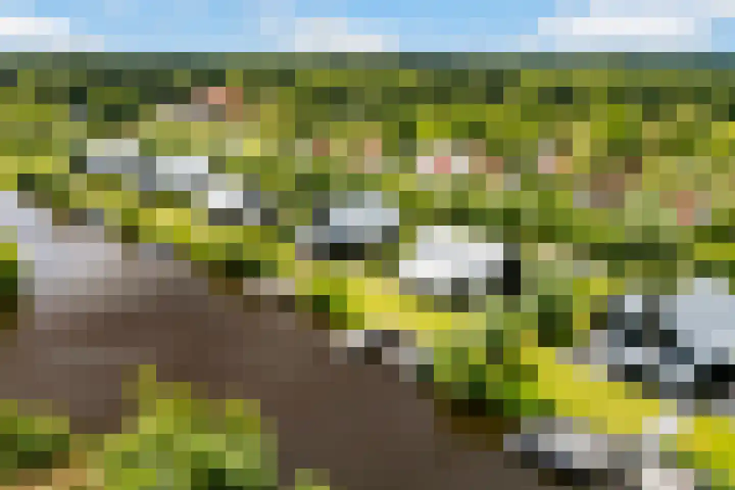 Meer van Eysinga 9 Sint Nicolaasga thumbnail 73