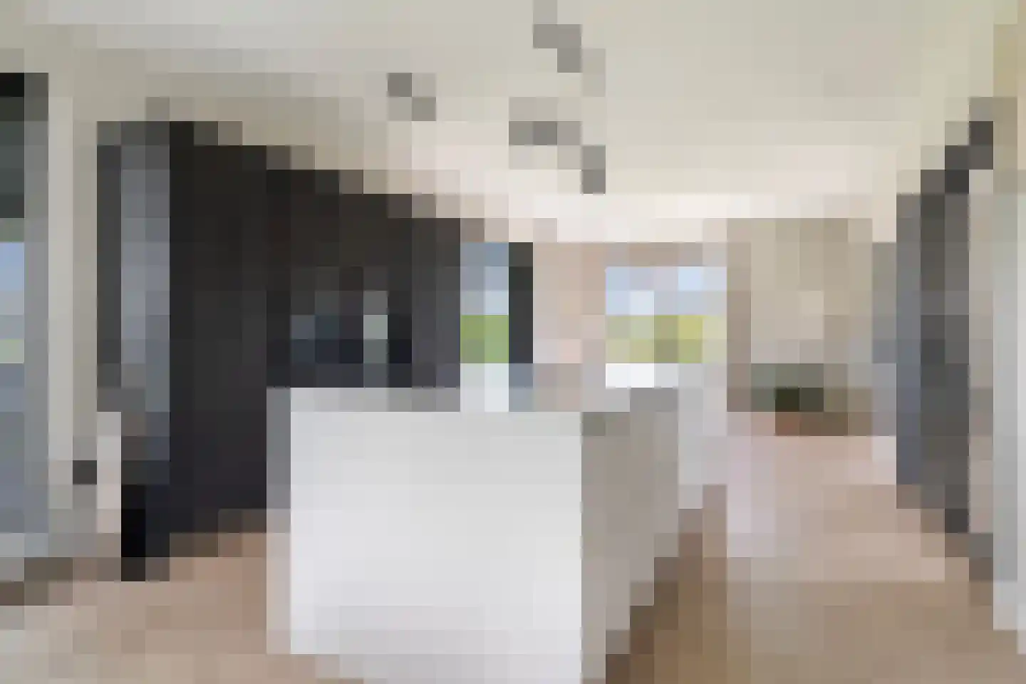 Meer van Eysinga 9 Sint Nicolaasga thumbnail 9