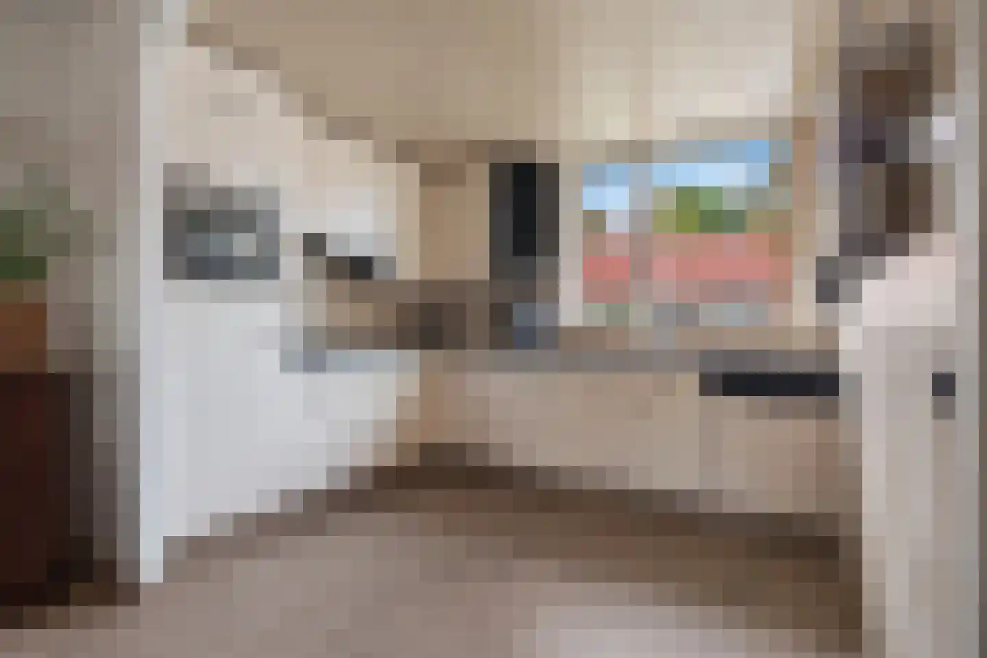 Meerbergsven 27 Eindhoven thumbnail 22