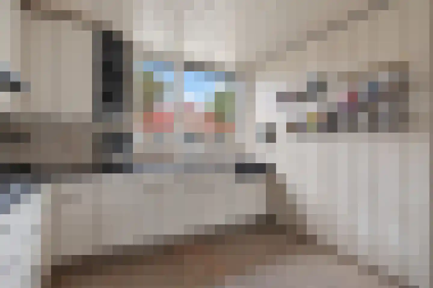 Meerbergsven 27 Eindhoven thumbnail 24