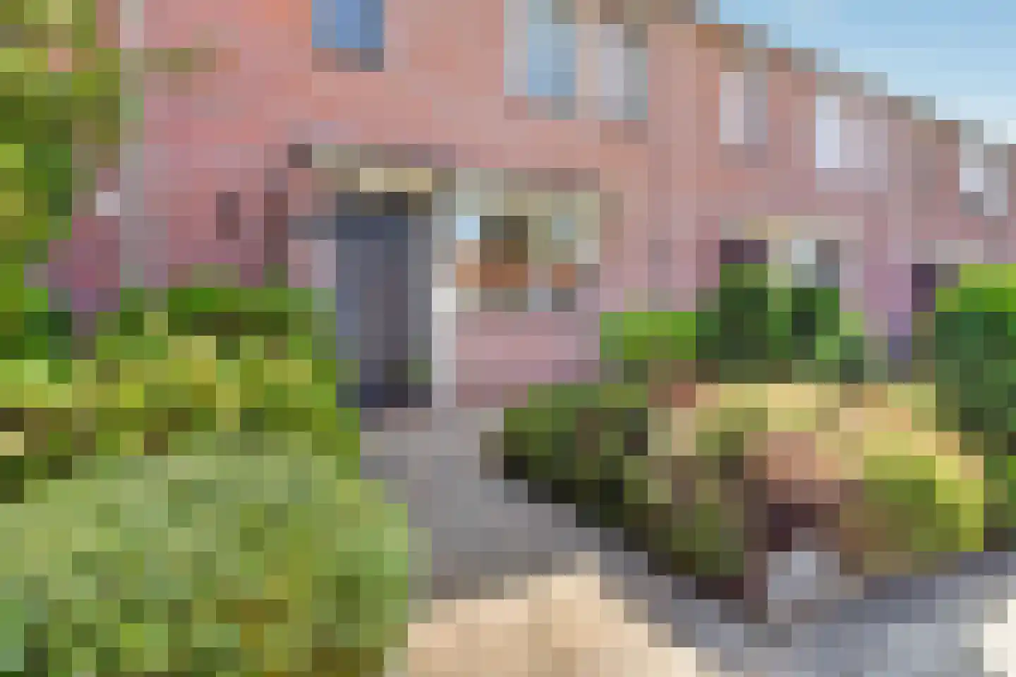 Meerbergsven 27 Eindhoven thumbnail 7