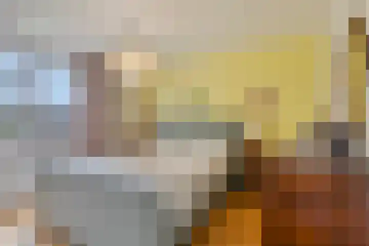 Meerbergsven 70 Eindhoven thumbnail 21