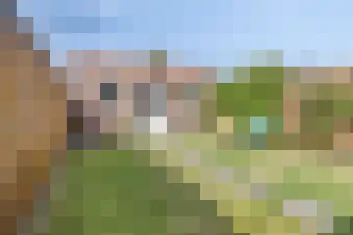 Meerbergsven 70 Eindhoven thumbnail 34