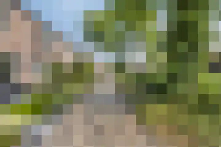 Meerbergsven 70 Eindhoven thumbnail 36
