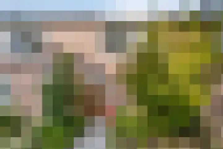 Meerbergsven 70 Eindhoven thumbnail 37