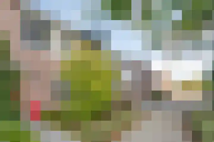 Meerbergsven 70 Eindhoven thumbnail 4