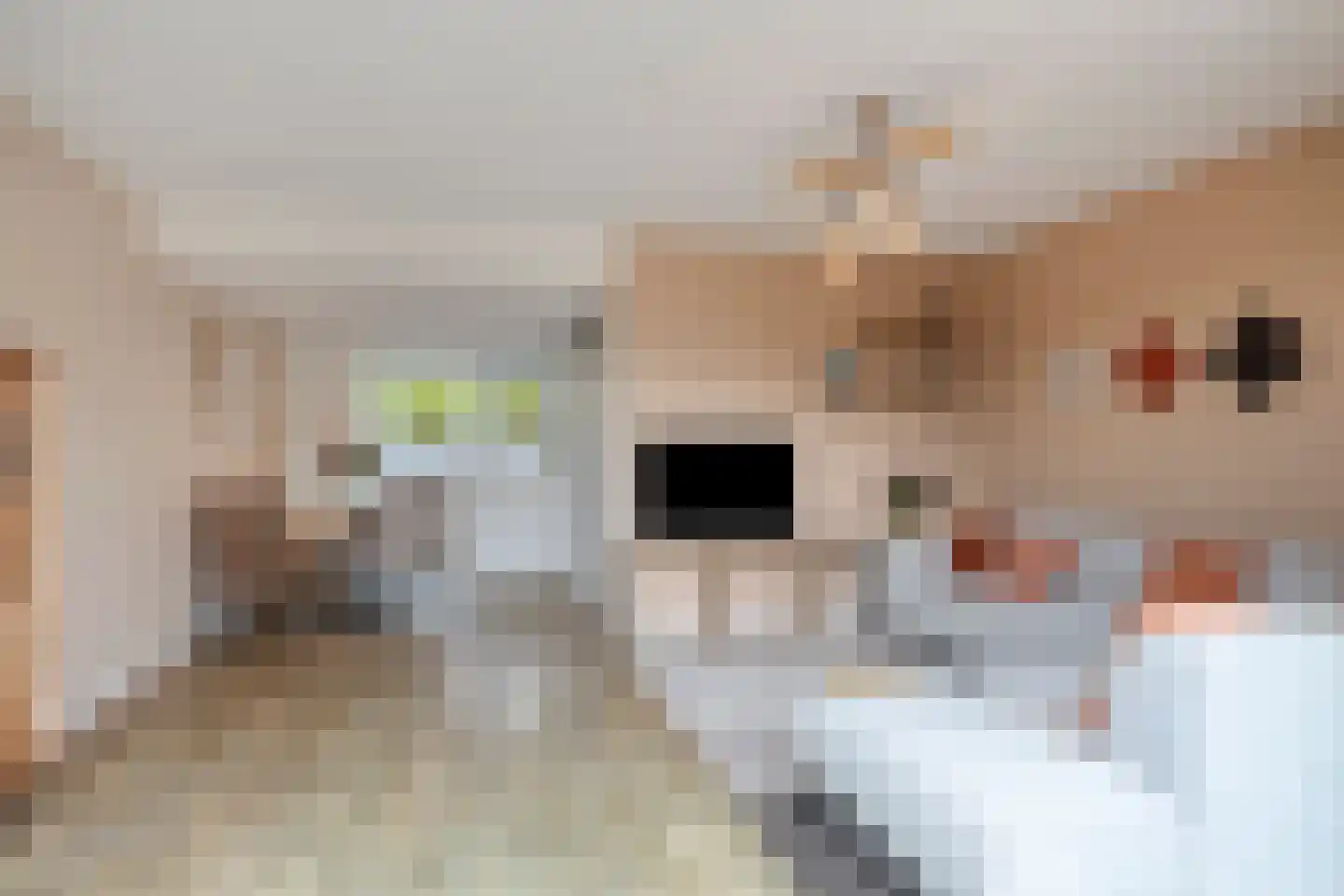 Meerbergsven 82 Eindhoven thumbnail 11