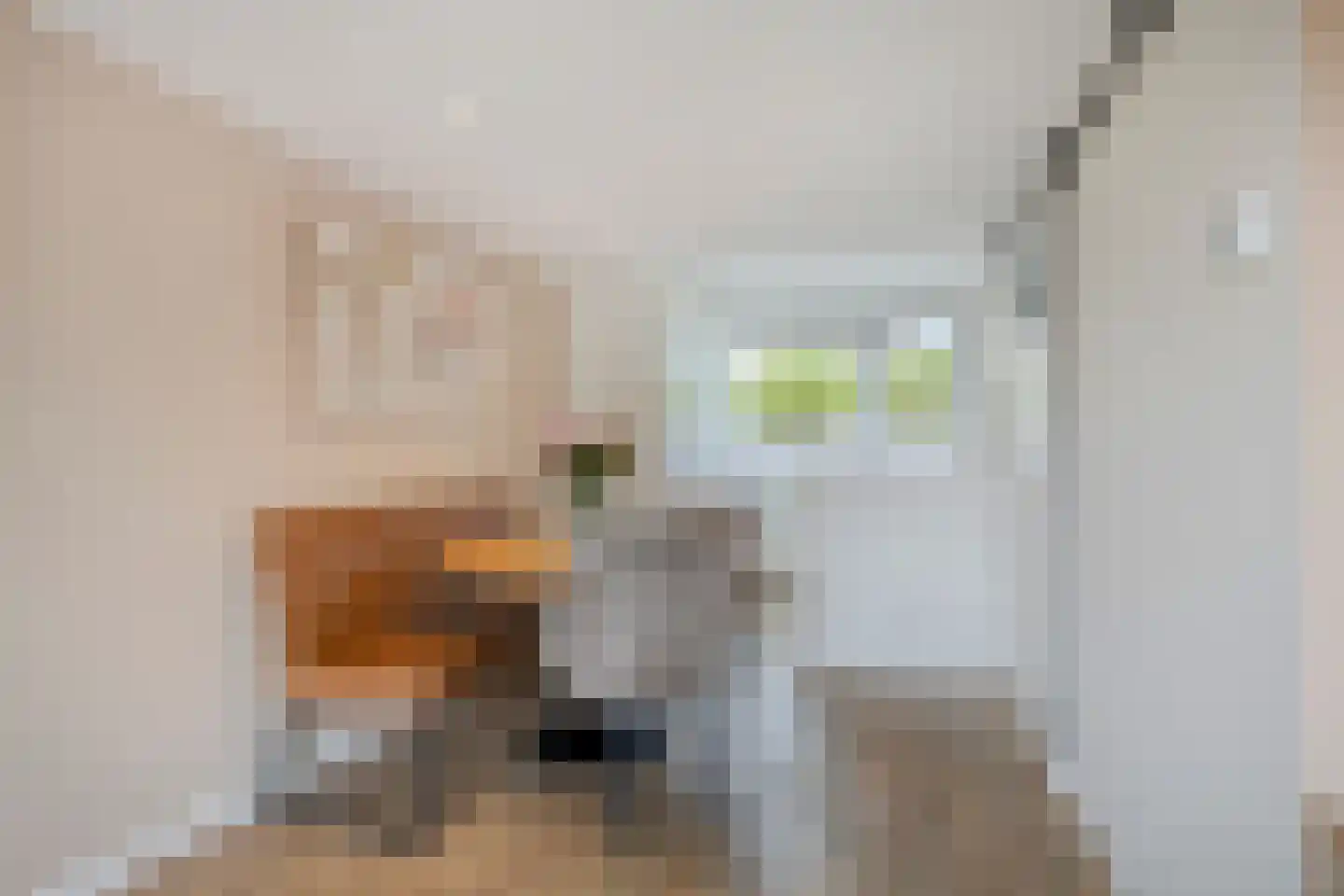 Meerbergsven 82 Eindhoven thumbnail 12