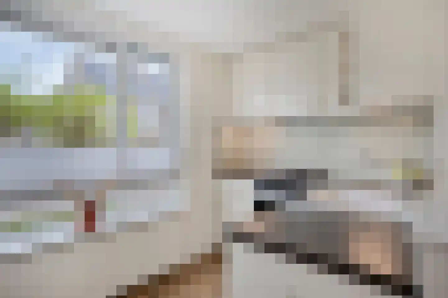 Meerbergsven 82 Eindhoven thumbnail 16