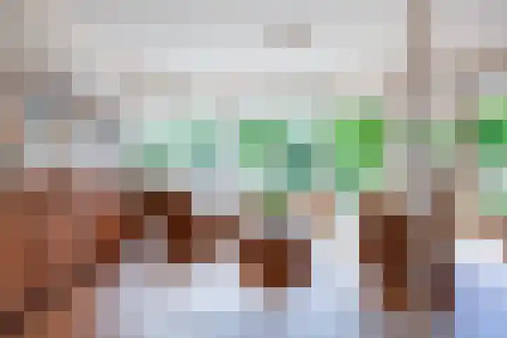 Meerbon 8 Rijnsaterwoude thumbnail 13