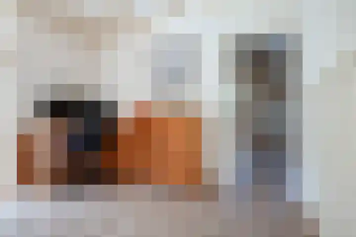 Meerbon 8 Rijnsaterwoude thumbnail 14