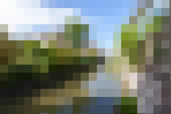 Meerbon 8 Rijnsaterwoude thumbnail 4