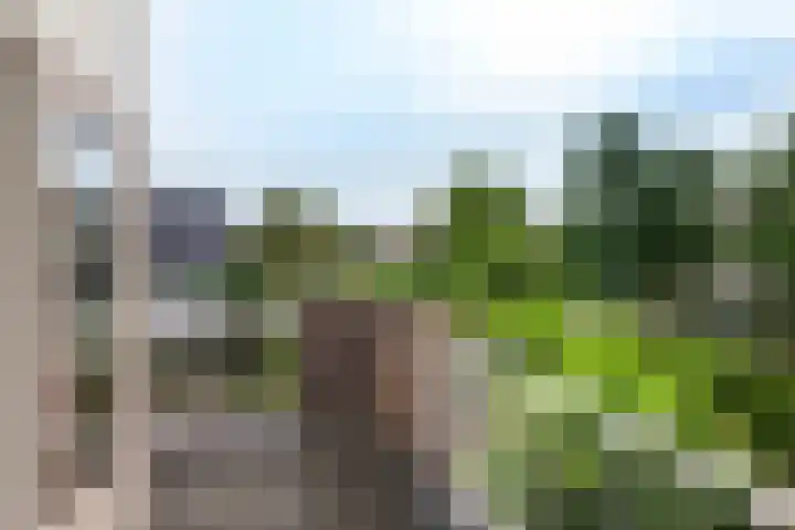 Meerbon 8 Rijnsaterwoude thumbnail 40