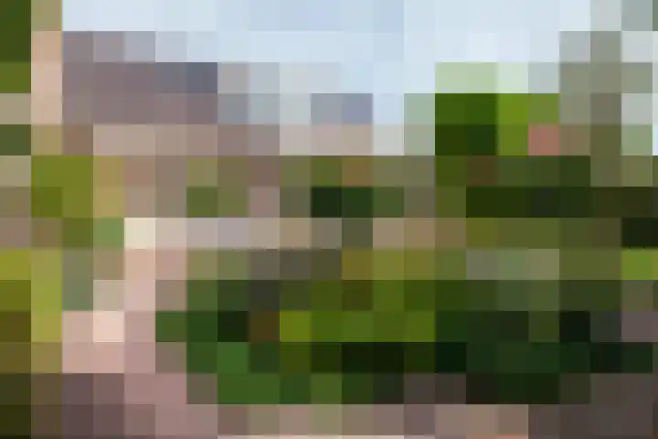 Meerbon 8 Rijnsaterwoude thumbnail 45