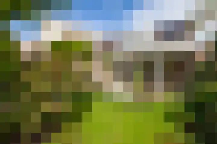 Meerbon 8 Rijnsaterwoude thumbnail 46