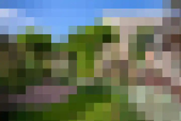 Meerbon 8 Rijnsaterwoude thumbnail 47