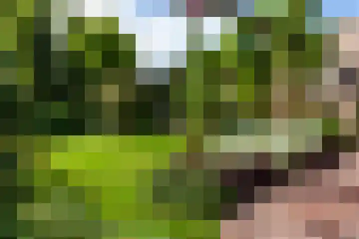 Meerbon 8 Rijnsaterwoude thumbnail 48