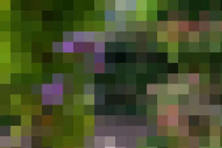 Meerbon 8 Rijnsaterwoude thumbnail 50