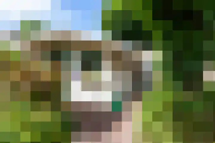Meerbon 8 Rijnsaterwoude thumbnail 51