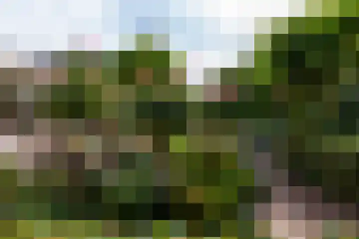 Meerbon 8 Rijnsaterwoude thumbnail 53