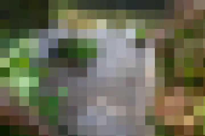 Meerbon 8 Rijnsaterwoude thumbnail 54