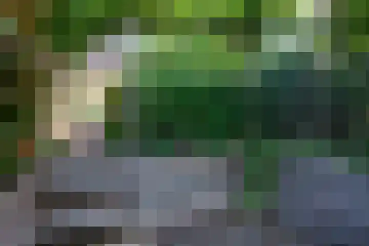 Meerbon 8 Rijnsaterwoude thumbnail 55