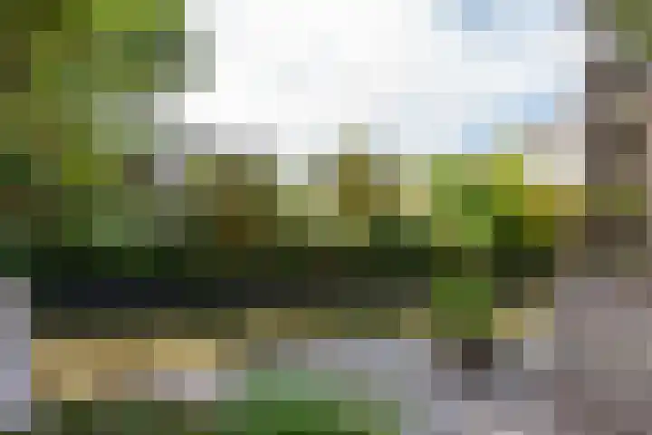 Meerbon 8 Rijnsaterwoude thumbnail 56