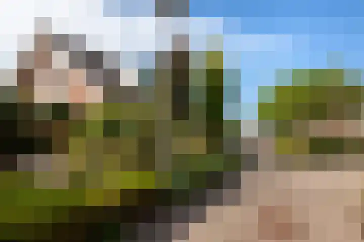 Meerbon 8 Rijnsaterwoude thumbnail 57