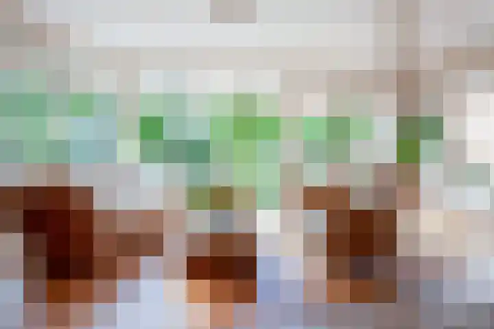 Meerbon 8 Rijnsaterwoude thumbnail 6
