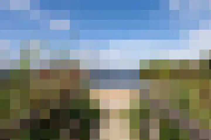Meerbon 8 Rijnsaterwoude thumbnail 60