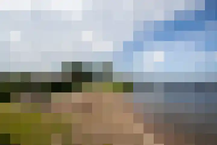 Meerbon 8 Rijnsaterwoude thumbnail 62